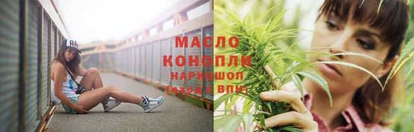 винт Дмитров