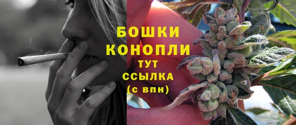 винт Дмитров