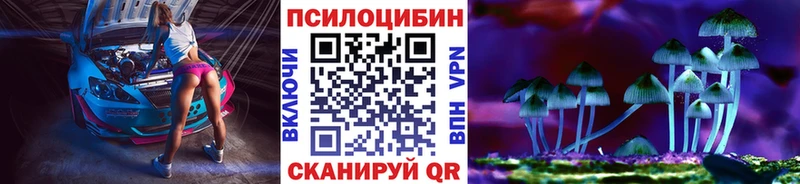 закладка  Томари  Галлюциногенные грибы Magic Shrooms 